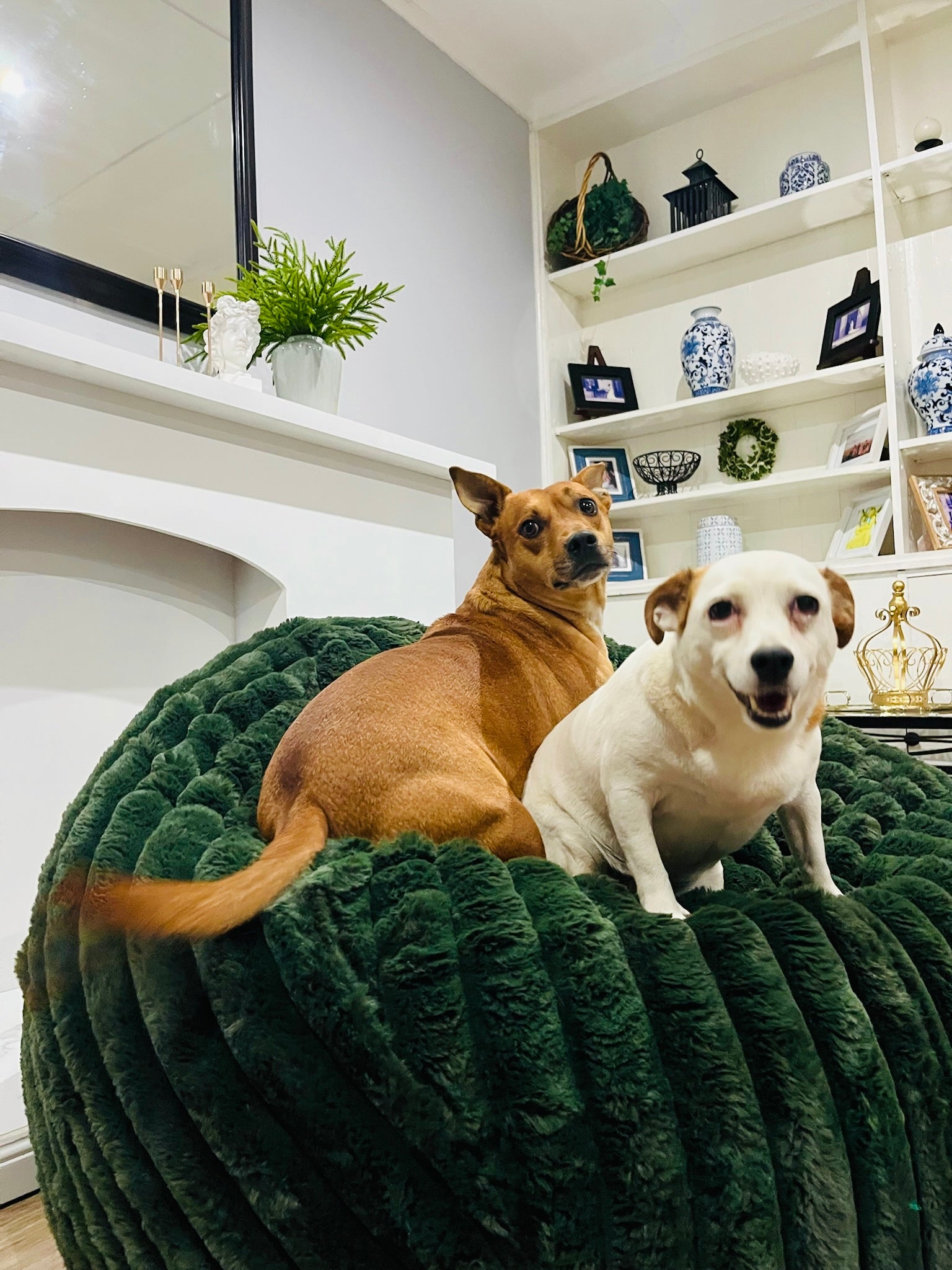 Posh Pod Bean Bag